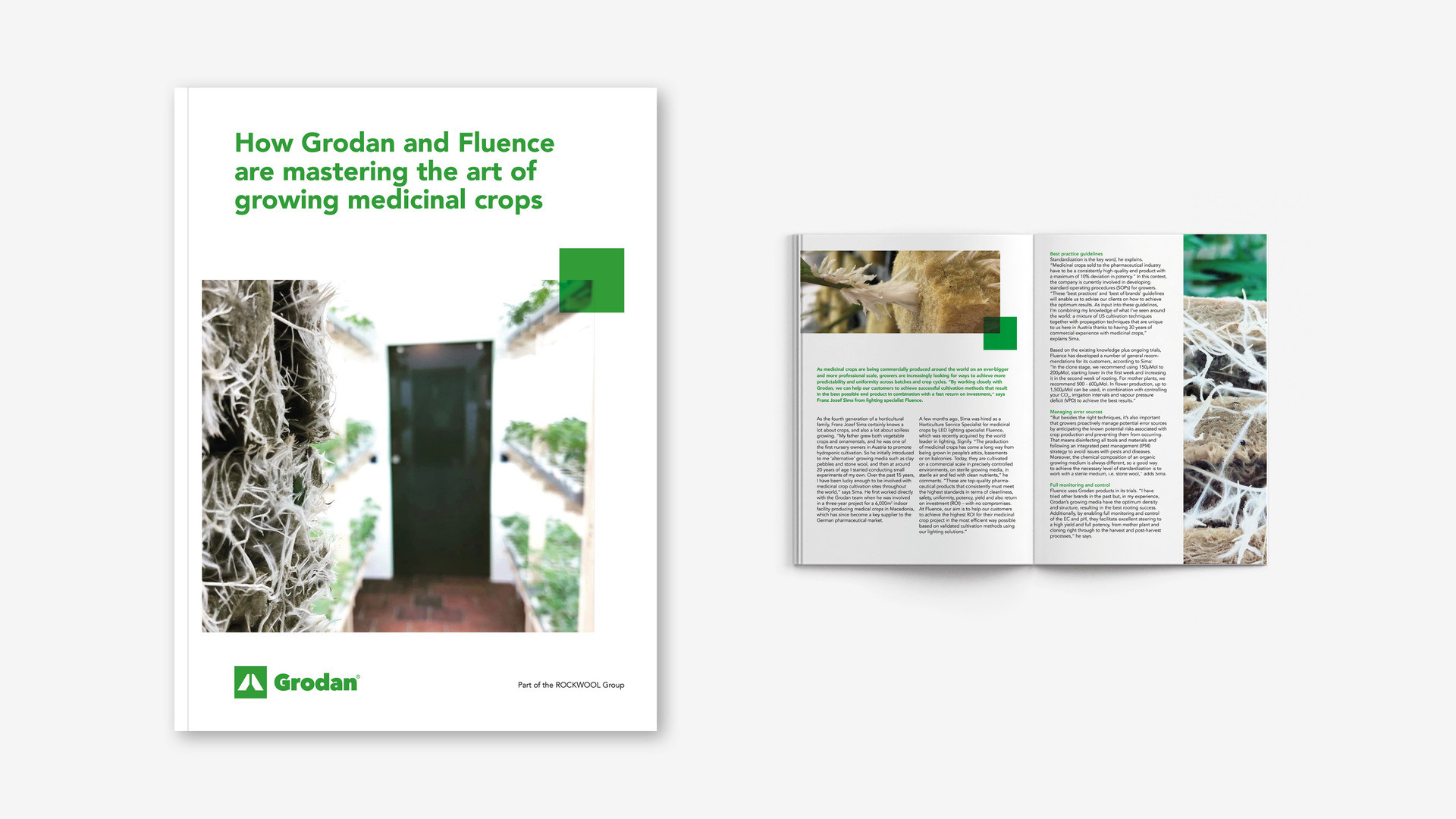 Whitepaper: How Grodan and Fluence are mastering the art of growing medicinal crops